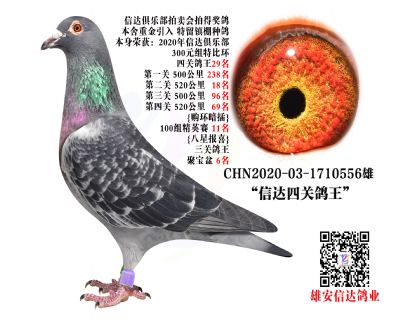 _(d)P(gun)29λ