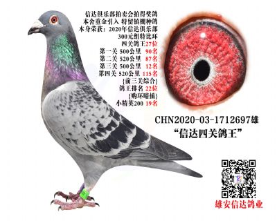 _(d)P(gun)27λ