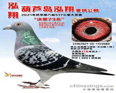 219e3b56fefec703c801862cbcf207e