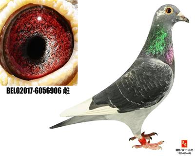 R906