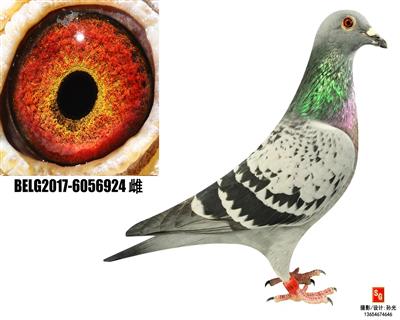 R924