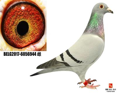 R944