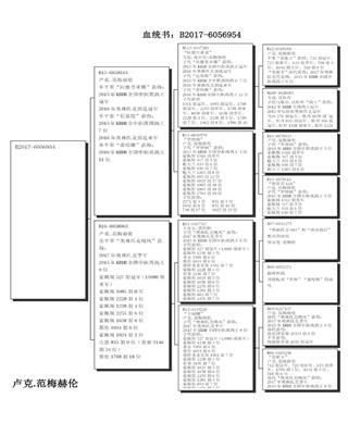 Ѫy(tng)