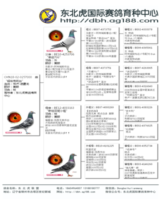 Ѫy(tng)