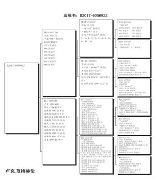 Ѫy(tng)(sh)