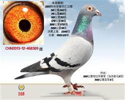 14괺ջ㹫