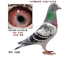 390游һ