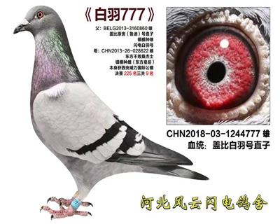 777