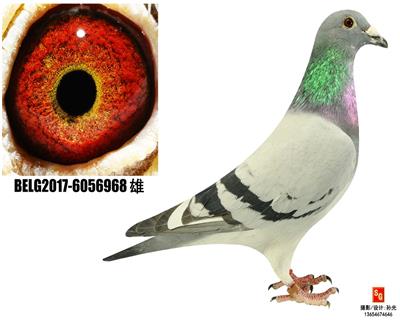 968