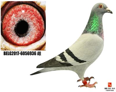 936