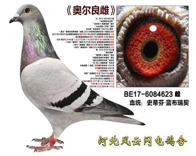 ¶