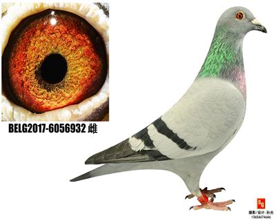 R932