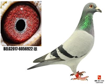 R922