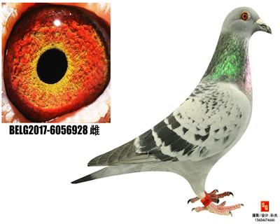 R928