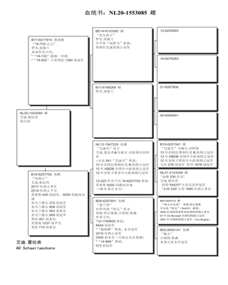 Ѫy(tng)