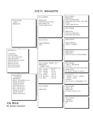 Ѫy(tng)