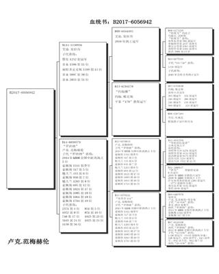 Ѫy(tng)