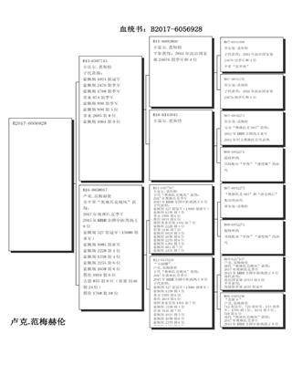 Ѫy(tng)