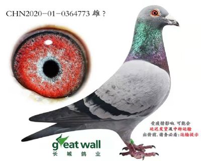 r773