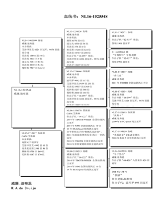 Ѫy(tng)
