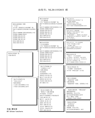 Ѫy(tng)