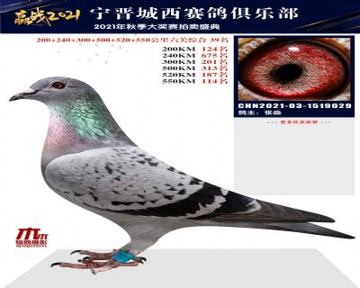 ײ̖
