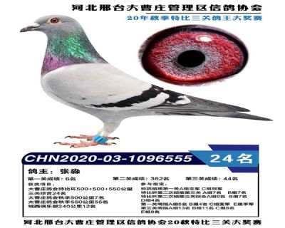 555