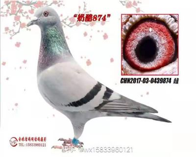 874