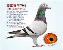 游