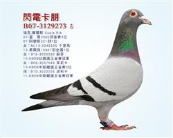 游