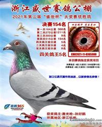 速见1000作出公棚鸽王5名