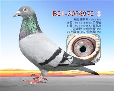 оxٶ/˿ˡ젖˹