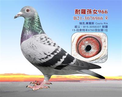 оxٶ/˿ˡ젖˹