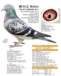 游ʿ