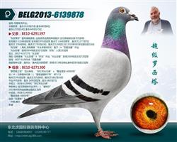 母親