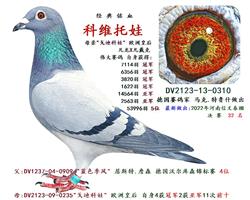 母 親