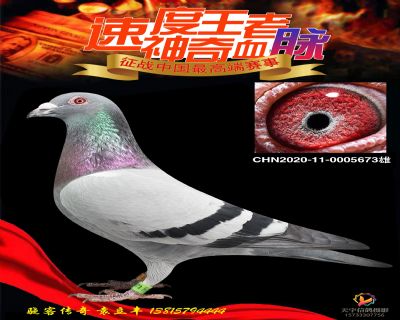 BOBھϵָ