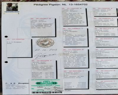Picture