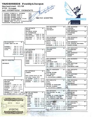 Ѫ�y(t��ng)��