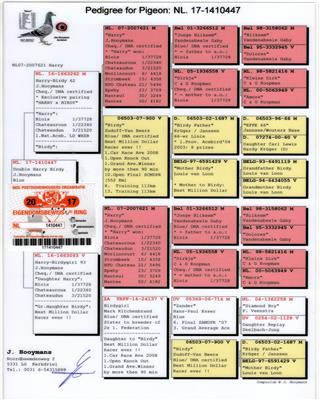 Ѫ�y(t��ng)��(sh��)