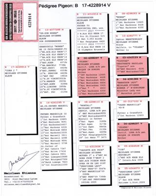 Ѫ�y(t��ng)��