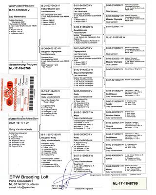 Ѫ�y(t��ng)��