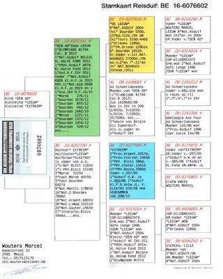 Ѫ�y(t��ng)��