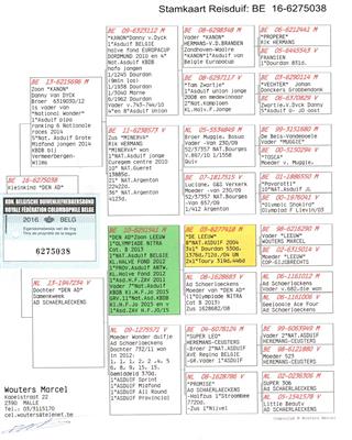 Ѫ�y(t��ng)��