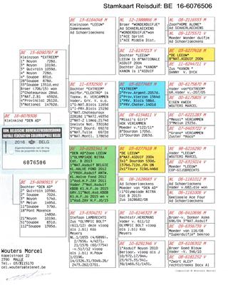 Ѫ�y(t��ng)��