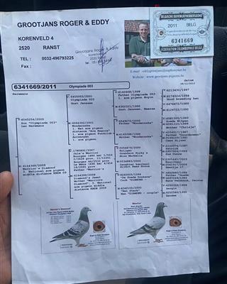 Ѫ�y(t��ng)��(sh��)