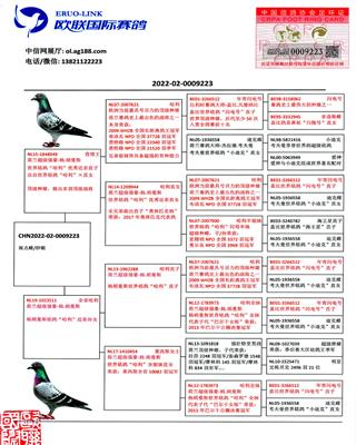 Ѫy(tng)