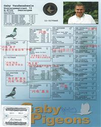 母親血統(tǒng)書
