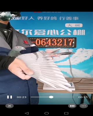 Ѫy(tng)