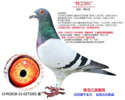 游ع001